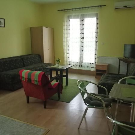 Apartments Hadzi Сокобаня Екстер'єр фото