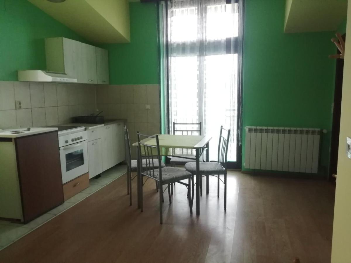 Apartments Hadzi Сокобаня Екстер'єр фото