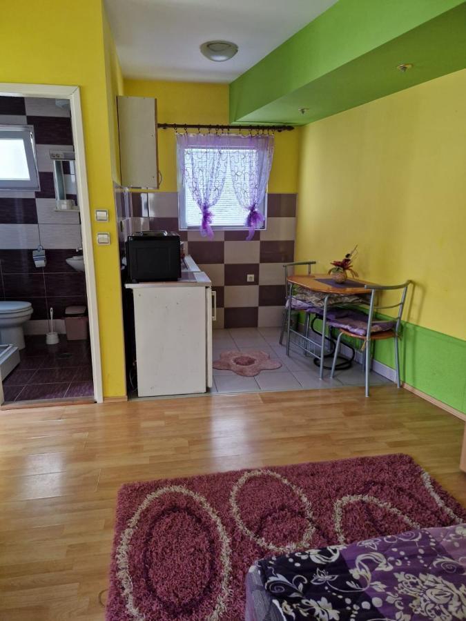 Apartments Hadzi Сокобаня Екстер'єр фото
