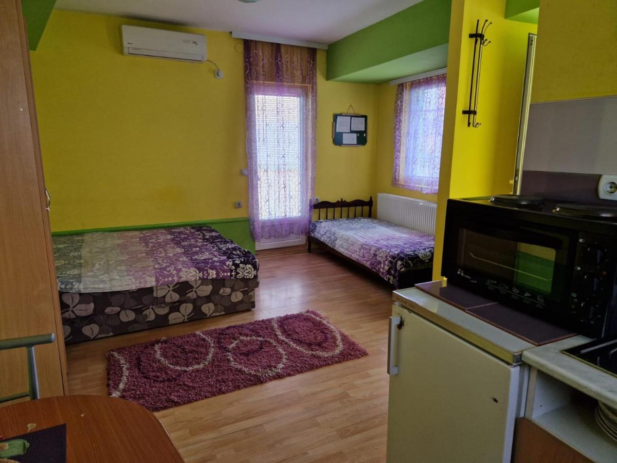 Apartments Hadzi Сокобаня Екстер'єр фото