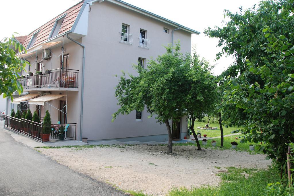 Apartments Hadzi Сокобаня Екстер'єр фото