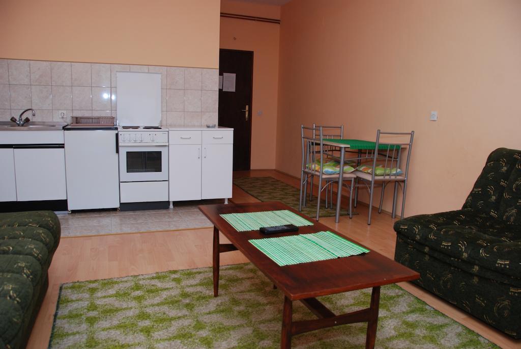 Apartments Hadzi Сокобаня Номер фото